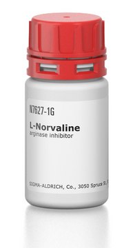 ?-Norvaline