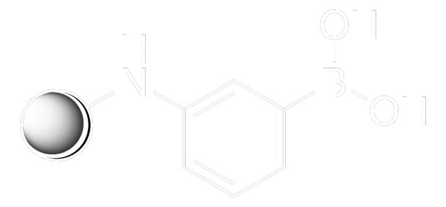 m-Aminophenylboronic acid–Agarose