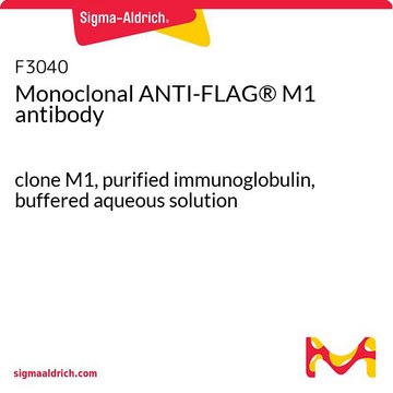 Monoclonal ANTI-FLAG® M1 antibody produced