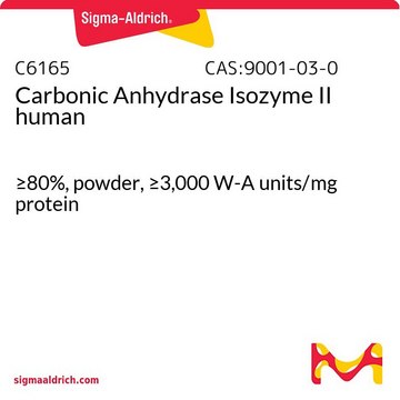 Carbonic Anhydrase Isozyme II human