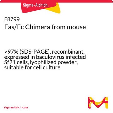 Fas/Fc Chimera from mouse