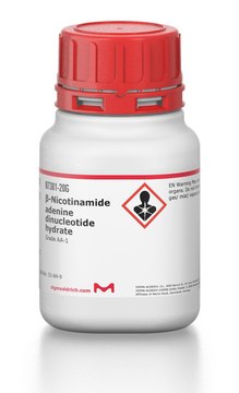 ?-Nicotinamide adenine dinucleotide hydrate