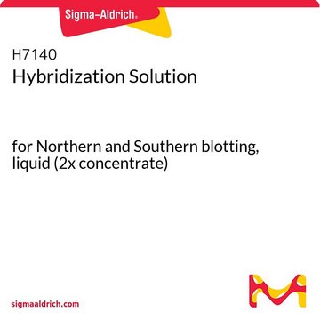 Hybridization Solution