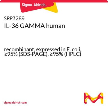 IL-36 GAMMA human