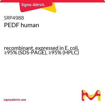 PEDF human