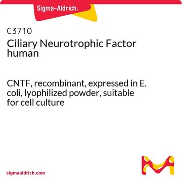 Ciliary Neurotrophic Factor human