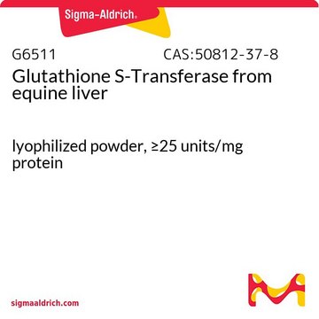 Glutathione S-Transferase from equine liver