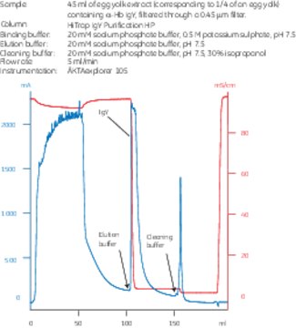 HiTrap® IGY Purification