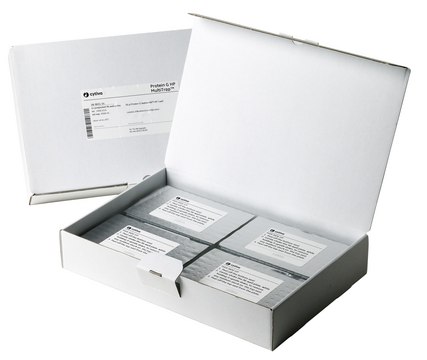 Protein G High Performance MultiTrap™