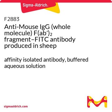 Anti-Mouse IgG (whole molecule) F(ab?)?