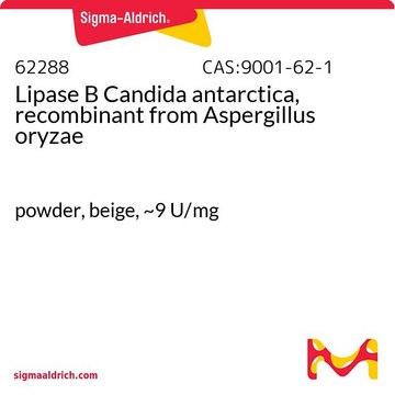 Lipase B Candida antarctica, recombinant