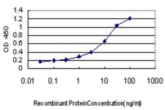 Monoclonal Anti-MIB1 antibody produced in