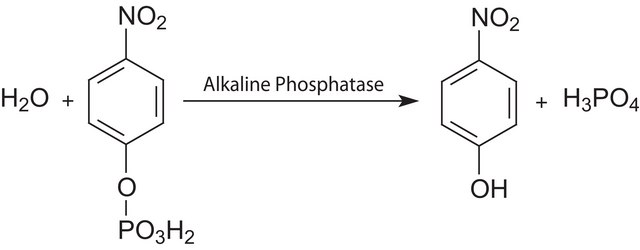 Phosphatase substrate