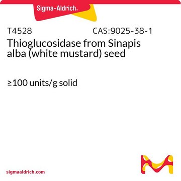 Thioglucosidase from Sinapis alba (white