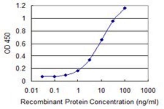 Monoclonal Anti-UGT1A6 antibody produced in