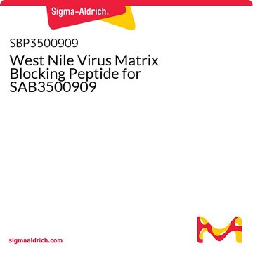 West Nile Virus Matrix Blocking
