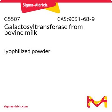 Galactosyltransferase from bovine milk