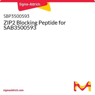 ZIP2 Blocking Peptide for SAB3500593