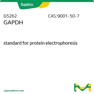 GAPDH