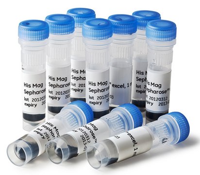 HIS MAG SEPHAROSE EXCEL, 2X1