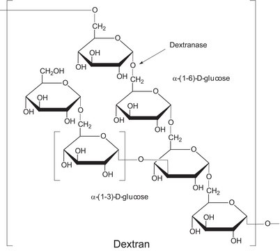 Dextranase from Penicillium sp.