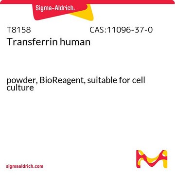 Transferrin human