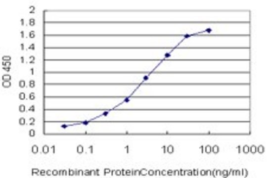 Monoclonal Anti-GSTM5 antibody produced in