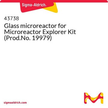 Glass microreactor for Microreactor Explorer