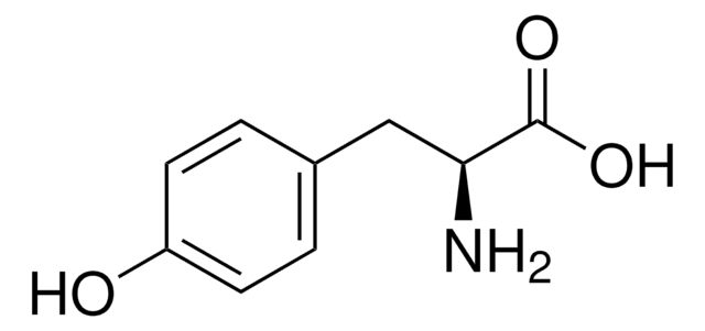 ?-Tyrosine