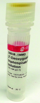 2?-Deoxyguanosine 5?-triphosphate trisodium salt solution