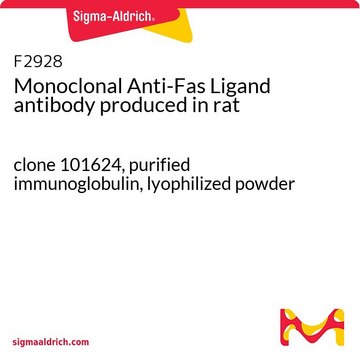 Monoclonal Anti-Fas Ligand antibody produced