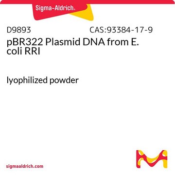 pBR322 Plasmid DNA from E.