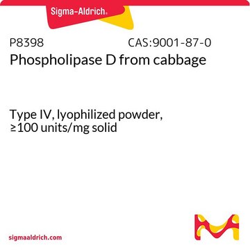 Phospholipase D from cabbage
