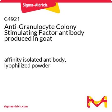 Anti-Granulocyte Colony Stimulating Factor antibody