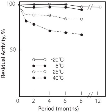 Cholesterol Oxidase from Streptomyces sp.