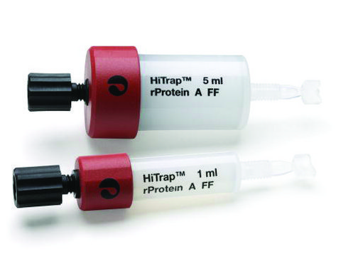 HiTrap® rprotein A Fast Flow