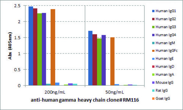 Anti-Human Gamma Heavy Chain-Biotin antibody,