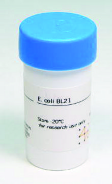 E. coli BL21