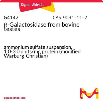 ?-Galactosidase from bovine testes