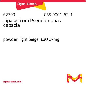 Lipase from Pseudomonas cepacia