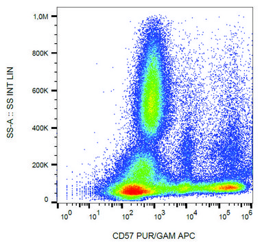 Monoclonal Anti-CD57 antibody produced in