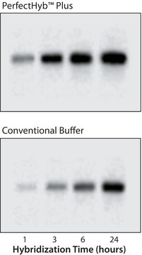 PerfectHyb™ Plus Hybridization Buffer