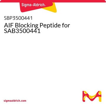 AIF Blocking Peptide for SAB3500441