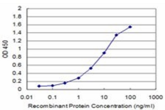Monoclonal Anti-CENPA antibody produced in