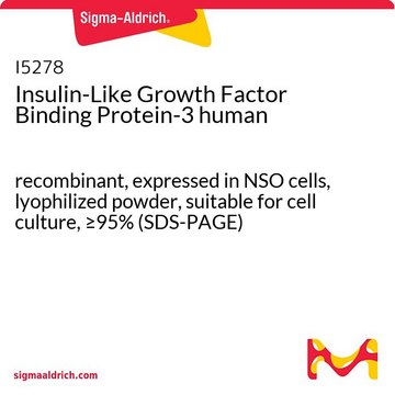 Insulin-Like Growth Factor Binding Protein-3