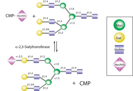 Cytidine-5?-monophospho-N-acetylneuraminic acid sodium salt