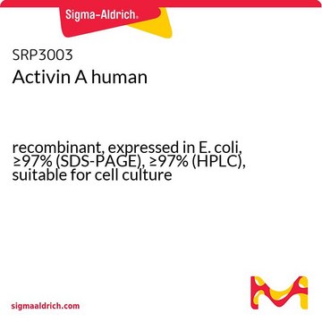 Activin A human