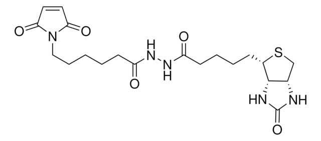 Biotin-maleimide