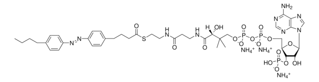 Azo Coenzyme A