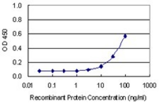 Monoclonal Anti-C21orf2 antibody produced in